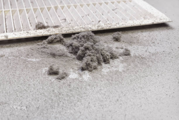 Best Commercial HVAC Duct Cleaning  in Carol Stream, IL