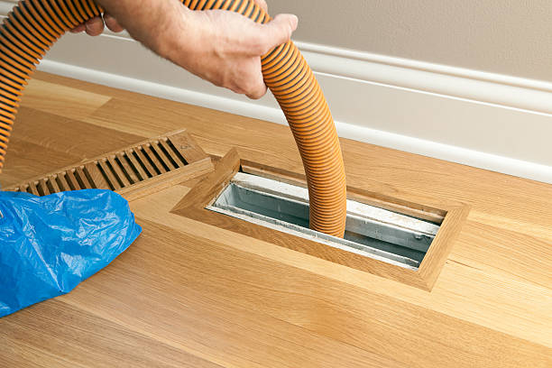 Best HVAC Air Duct Cleaning  in Carol Stream, IL