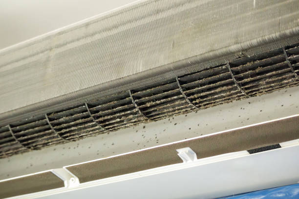 Best Dryer Vent Cleaning Services  in Carol Stream, IL