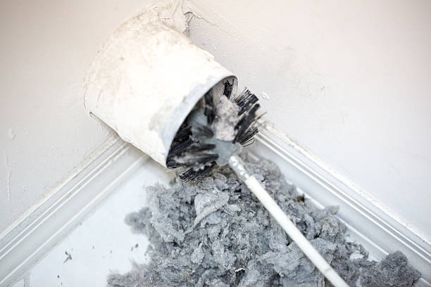 Best Affordable Duct Cleaning Services  in Carol Stream, IL